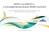 REDD+ na UNFCCC e a Estratégia Nacional para REDD+ do Brasilredd.mma.gov.br/images/central-de-midia/PowerPoint/cct... · 2016. 12. 19. · A CONAREDD+ conta com o apoio do GTT-REDD+,