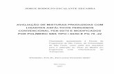 AVALIAÇÃO DE MISTURAS PRODUZIDAS COM ......iii RESUMO ZEGARRA, J. R. E. (2007). Avaliação de misturas produzidas com ligantes asfálticos peruanos convencional PEN 60/70 e modificados