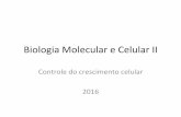 Biologia Molecular e Celular II - USP - IFSC 10.pdf · 2016. 10. 27. · A proteína anexina V detecta a exposição de PS na membrana plasmáLca No início da apoptose, a membrana