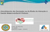 Atendimento da Gestante na da Rede de Atenção á Saúde Maternoinfantil Pinhais · 2020. 4. 14. · PREFEITURA MUNICIPAL DE PINHAIS Secretaria Municipal de Saúde Departamento de