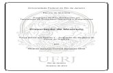 Dissertação de Mestrado - UFRJ/EQ/EPQBepqb.eq.ufrj.br/download/troca-ionica-em-zeolita-y...Silva, Ricardo Vinícius Correia Abrantes Troca Iônica em Zeólita Y - Avaliação de