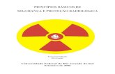 PRINCÍPIOS BÁSICOS DE SEGURANÇA E PROTEÇÃO ......De fato, noções sobre tópicos como estrutura da matéria, radiação eletromagnética, radioatividade, interação da radiação