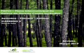 PIDFCI Plano Intermunicipal De Defesa da Floresta Contra ......PLANO INTERMUNICIPAL DE DEFESA DA FLORESTA CONTRA INCÊNDIOS 6 1.1 – Estratégia Nacional para as Florestas A Estratégia