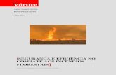 SEGURANÇA E EFICIÊNCIA NO COMBATE AOS ......Segurança e eficiência no combate aos incêndios florestais 8 “Um incêndio florestal é na sua essência o reflexo do comportamento