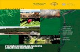 Miolo RPH Ingles - Imazon · 2018. 11. 27. · Livro publicado originalmente em inglês (Human Pressure on the Brazilian Amazon Forests) com ISBN 1-56973-605-7 O World Resources Institute