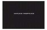 HAICAIS TROPICAIS · 2021. 1. 17. · Haicais tropicais / Rodolfo Witzig Guttilla (org.). — 1ª ed. — São Paulo : Boa Companhia, 2018. Vários autores 978isbn 65771-16-0-85-1.