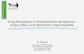 Drug Resistance in Pseudomonas aeruginosa - LDRI / UCLDrug Resistance in Pseudomonas aeruginosa : Active Efflux and Membrane Impermeability P. Plésiat Laboratoire de Bactériologie