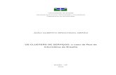 JOÃO ALBERTO BROCHADO ABRÃO - UnB · 2013. 6. 19. · JOÃO ALBERTO BROCHADO ABRÃO OS CLUSTERS DE SERVIÇOS: o caso da Rua da Informática de Brasília Trabalho de conclusão de