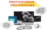 PROTOZOÁRIOS E PROTOZOOSES · 2020. 8. 12. · DIVISÃO EM GRUPOS Baseada no tipo de estrutura locomotora (e/ou de captura de alimentos) ou na sua ausência: protozoários amebóides