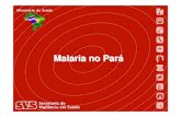 Malaria no Pará · 2009. 10. 8. · 2000. 2008. Fonte: SISMAL/SIVEP/SVS/MS – atualizado em 18.09.2009. Mapa do risco de transmissão da malária. Amazônia Brasileira, 2000 e 2008.
