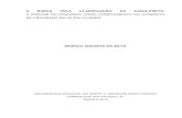 A BUSCA PELA CLARIFICAÇÃO DA CAIXA-PRETAuenf.jvlabs.com.br/arquivos/teofiloaugusto_010220191622.pdf · 2019. 2. 1. · FICHA CATALOGRÁFICA Preparada pela Biblioteca do CCH / UENF