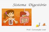 Sistema Digestório · 2018. 8. 20. · IV. SISTEMA DIGESTÓRIO HUMANO. 4) ESTÔMAGO A enzima pepsina inicia a digestão das proteínas , atuando em pH ácido (= 2,0). O ácido clorídrico