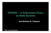 DWDM – A Subcamada Física da Rede KyateraPadtec – Todos os Direitos Reservados Amplificadores Óticos • Potências Típicas de amplificação: de 12 até 30 dB. • Érbio é
