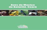 aves maci.o baturite · 2020. 4. 1. · Impresso no Brasil / Printed in Brasil ISBN 85-7300-1801. ... Centro, o qual, além de auxiliar na elaboração de propostas ... de aves. Com