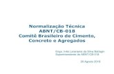 Normalização Técnica ABNT/CB-018 Comitê Brasileiro de … · 2019. 8. 21. · ABNT NBR NM 39 NORMAS ABNT NBR 243 NORMAS 1% 14% 85% ACERVO ABNT/CB-018 285 TOTAL NORMAS. ABNT/CB-018