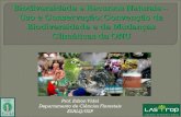 Biodiversidade e Recursos Naturais Uso e Conservação ... · COP1 –1994 (Nassau, Bahamas) ... COP 24 –2018 (Katowice, Poland) COP 25 ... Dispõe sobre o acesso ao patrimônio