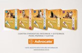 CONTRA PARASITOS INTERNOS Y EXTERNOS PARA PERROS Y … · 2020. 8. 1. · contra parasitos internos y externos para perros y gatos visite nuestra web para mas informacion veterinaria.bayer.com.ar.