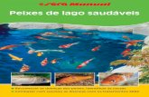 Peixes de lago saudáveis...afecta os peixes de lago. de fácil compreensão e cheio de imagens exemplificativas, “Krankheiten der Aquarien-fische” (Doenças dos peixes de aquário)