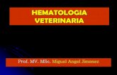 HEMATOLOGIA VETERINARIA · 2016. 4. 26. · de rumiantes. Theileria parva . En un solo eritrocito se puede presentar varios parásitos, pero no hay multiplicación. Las formas multiplicantes