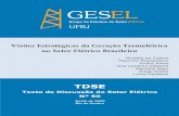 Visões Estratégicas da Geração Termelétrica no Setor Elétrico Brasileirogesel.ie.ufrj.br/app/webroot/files/publications/07... · 2020. 7. 7. · estruturação do formato do