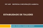 Estabilidade de Taludes - USP · 2018. 4. 11. · estabilidade de taludes pef 3409 geotecnia e recuperaÇÃo ambiental maria eugenia gimenez boscov