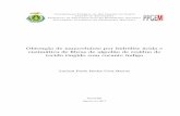 Obtençãodenanoceluloseporhidróliseácidae ... · 2017. 11. 5. · Luciani Paola Rocha Cruz Barros Obtençãodenanoceluloseporhidróliseácidae enzimáticadeﬁbrasdealgodãoderesíduodetecido