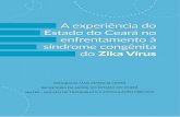 A experiência do · 2019. 3. 15. · Este livro descreve o processo de construção de estratégias relevantes para enfrentamento da Síndrome Congênita do Zika Vírus – SCZV
