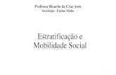 Estratificação e Mobilidade Social - pergunte-se · 2020. 4. 3. · O SURGIMENTO DA SOCIOLOGIA 17. O sistema econômico capitalista criava a possibilidade de mobilidade social para