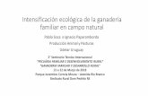 Intensificacion ecológica de la gandería familiar en campo natural · 2018. 4. 6. · Equipo técnico de apoyo Ubicación predios participantes Acuerdo de trabajo GFCC-MGAP/ FAGRO/IPA