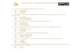 Atuação - Parquevidacerrado.org.br/.../uploads/2020/04/quiz-do-tamandu.docx · Web view( ) Uma mola 6 – Qual o “sentido” mais utilizado pelo tamanduá-bandeira? ( ) Olfato