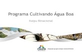 Programa Cultivando Água Boa - Green Rio | Green Rio...Programa Cultivando Água Boa Bioeconomia na América Latina e Caribe: Nexus Água / Agricultura / Energia A EXPERIÊNCIA INTEGRACIONISTA