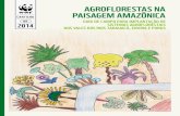AGROFLORESTAS NA PAISAGEM AMAZÔNICA · 2014. 11. 17. · trazidas principalmente pela fauna, em especial mamíferos e aves. As ervas e arbustos que do-minam a área no início da