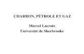 CHARBON, PÉTROLE ET GAZ Marcel Lacroix Université de ...marcellacroix.espaceweb.usherbrooke.ca/ENERGIE/CHARBON...M. Lacroix Charbon, pétrole et gaz 10 Raffinage du pétrole 4. Distillation:séparation