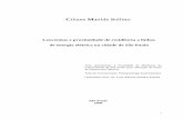 Ciliane Matilde Sollitto doutorado revisada · 2009. 6. 9. · I.7 Epidemiologia.....52 I.7.1 A abordagem do espaço em epidemiologia ... de “transição epidemiológica”, representa
