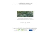Projeto CEI 13584 · 2013. 5. 13. · Acacia melanoxylon, resultantes maioritariamente de rebentamento de touça. Devido a um fenómeno ocorrido em meados de Março de 2012 e registado
