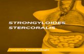 STRONGYLOIDES STERCORALIS - Amazon Web Services...Strongyloides e Espécie Strongyloides stercoralis. É um helminto nematoide de grande importância clínica para o homem. É responsável