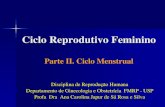 Ciclo Reprodutivo Feminino - USP...Ciclo Reprodutivo Feminino Parte II. Ciclo Menstrual Disciplina de Reprodução Humana Departamento de Ginecologia e Obstetrícia FMRP - USP Profa