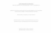 Dissertação CHAPADEIRO F.C. - UnBrepositorio.unb.br/bitstream/10482/9440/1/2011_Fernando...3. Planejamento cicloviário 4. Processo participativo I. ENC/FT/UnB II. Título (série)