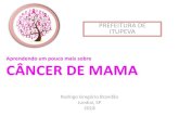 Aprendendo um pouco mais sobre CÂNCER DE MAMAcasadamama.com/images/file/cancerdemamaclubejundiaiense.pdf · 2020. 10. 30. · 1/9 ca de mama 1/30 morte. o câncer de mama é o segundo