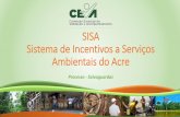 SISA Sistema de Incentivos a Serviços Ambientais do Acreredd.mma.gov.br/images/salvaguardas/Apresentao_SISA... · 2017. 2. 3. · Processo dos PSA REDD+ em nível jurisdicional (10