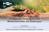 Pesquisa, Inovação em Bioeconomia na Embrapa · 2019. 11. 19. · Sistema de produção extensiva de gado de corte. EMBRAPA NA REGIÃO AMAZÔNIA Exemplos de Projetos. ... clonais