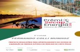 Concurso de monograﬁasº... · 2020. 12. 15. · FERNANDO COLLI MUNHOZ Proposta Regulatória para Aperfeiçoamento do Sistema de Liquidação da Energia Elétrica no Mercado de