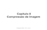 Capítulo 8 Compressão de Imagem · 2018. 9. 4. · Computação Gráfica - Vol. 2 - Cap. 8 8.2.4. Compressão Simétrica versus Assimétrica Classificação quanto ao tempo de compressão