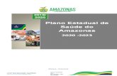 Plano Estadual de Saúde do Amazonas · 2020. 11. 12. · 2 Governador do Estado do Amazonas Wilson Miranda Lima Secretário(a) de Estado de Saúde do Amazonas Rodrigo Tobias de Souza