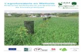 Itinéraires techniques et perspectives de bonnes pratiques · 2020. 4. 5. · 1 L’agroforesterie en Wallonie Itinéraires techniques et perspectives de bonnes pratiques Tout projet