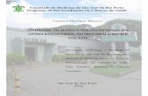 Faculdade de Medicina de São José do Rio Preto Programa de …bdtd.famerp.br/bitstream/tede/108/1/gustavohenriquemaruc... · 2019. 2. 4. · Objectives: Evaluate the influence of