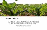 Foto: Rodrigo Moro de Miranda Capítulo 6ainfo.cnptia.embrapa.br/digital/bitstream/item/219111/1/... · 2020. 12. 11. · CAPTULO 6 - O balanço de nutrientes como indicador de riscos
