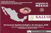 Panorama Epidemiológico de Dengue, 2019 - Gob...Panorama Epidemiológico de Dengue, 2019 SECRETARÍA DE SALUD Subsecretaría de Prevención y Promoción de la Salud Dirección General