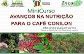 MiniCurso - Embrapa Café · 2013. 12. 5. · Banco de dados armazenado pela EMCAPA, na segunda metade da década de 80 (baixa produtividade média). Leite (1993); Bragança et al.