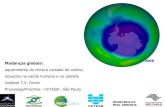 2008 Mudanças globais - CETESB...em 2100 Fonte: Revista Veja, Maio 2004 Necessidade de projeções de elevação do nível no mar de uma forma mais Slide de Paulo Artaxo quantitativa